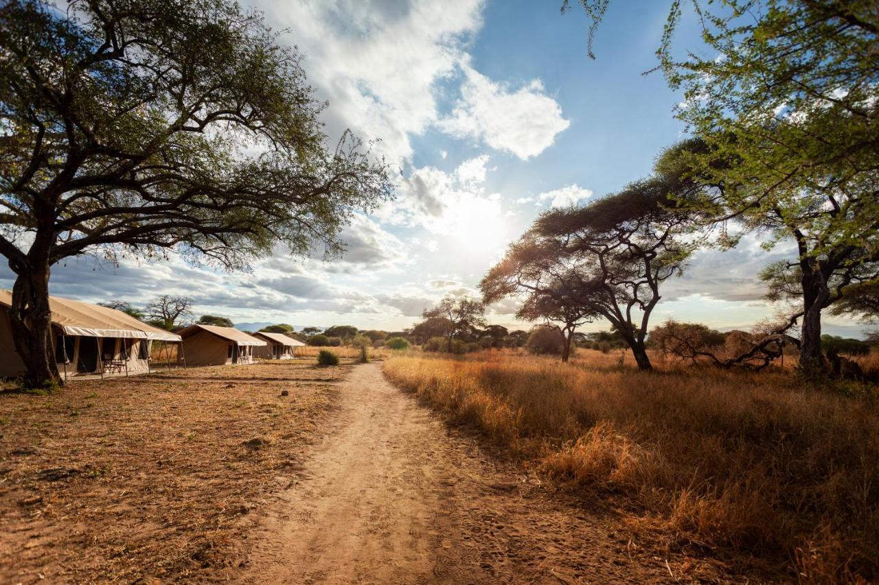 Baobab Tented Camp Kwa Kuchinia Luaran gambar