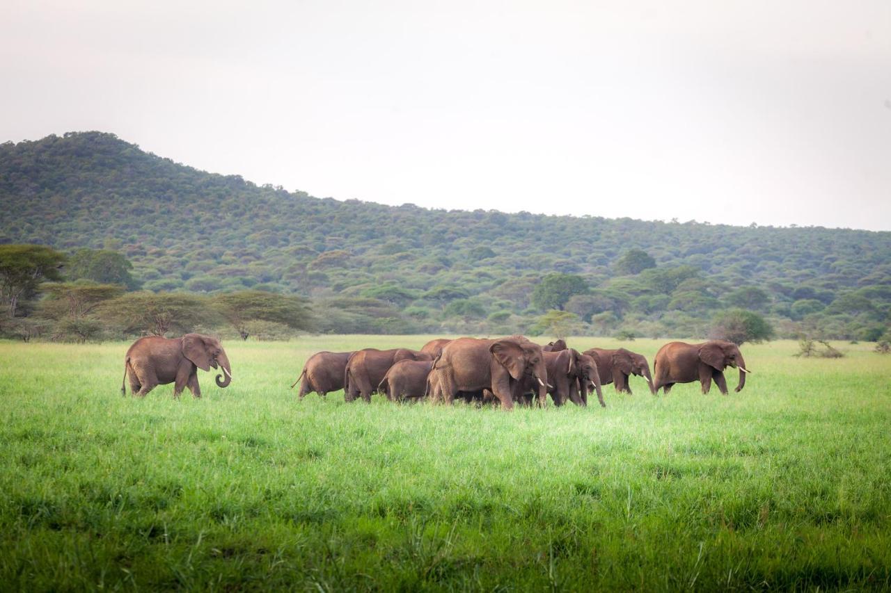 Baobab Tented Camp Kwa Kuchinia Luaran gambar