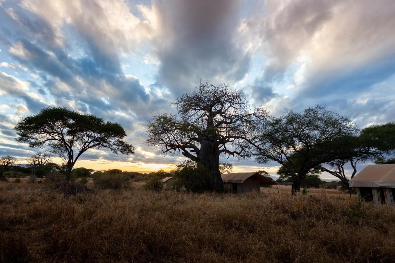 Baobab Tented Camp Kwa Kuchinia Luaran gambar